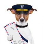 Postal-Dog-WEB