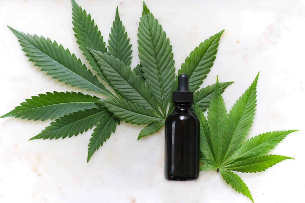 CBD Oil Bottle and a small plant of Cannabis