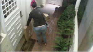 Porch Pirates will face Texas size charges over mail theft.