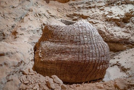 The basket in situ.Yaniv Berman / Israel Antiquities Authority