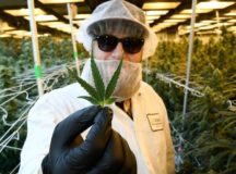 Aurora Cannabis Announces Filing of Preliminary Base Shelf Prospectus